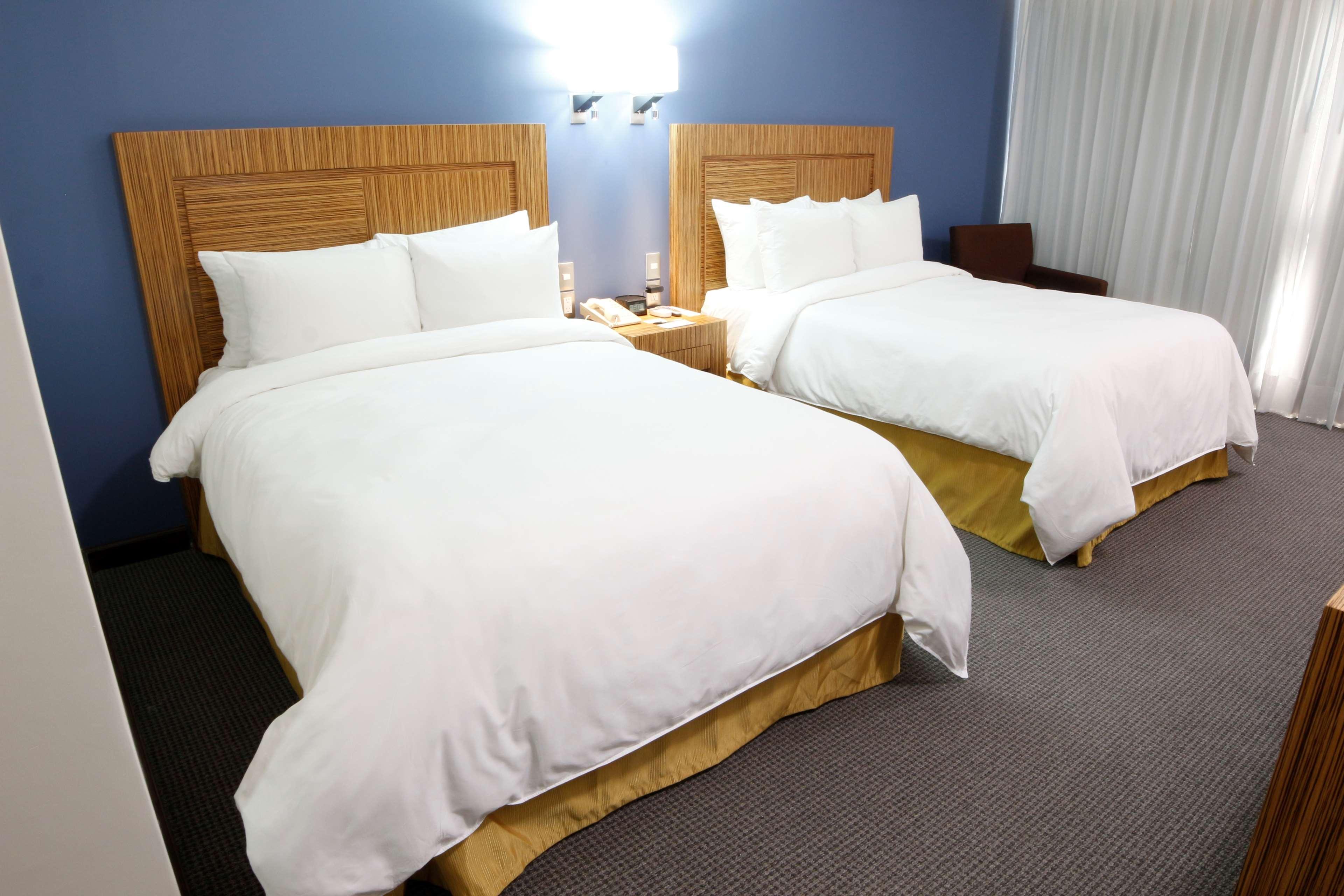 Radisson Hotel & Convention Center トルーカ エクステリア 写真
