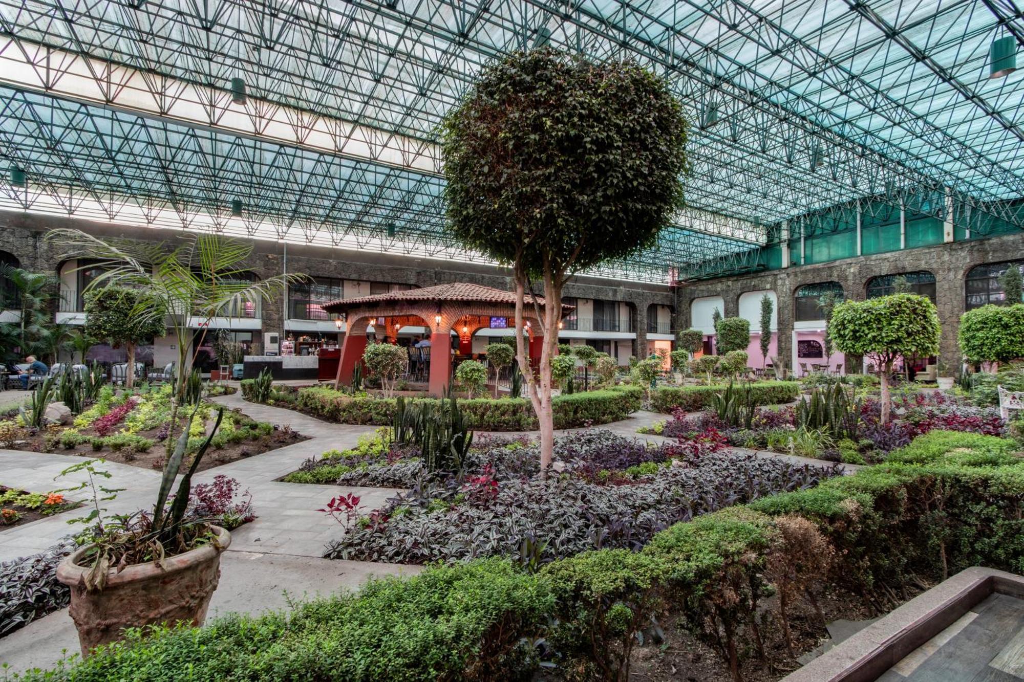 Radisson Hotel & Convention Center トルーカ エクステリア 写真